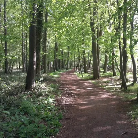 Ostseebrise Apartment Kellenhusen